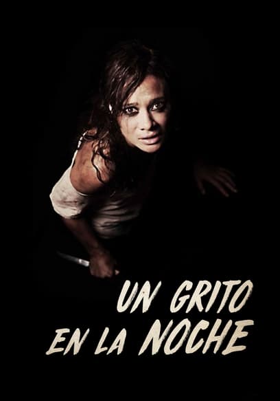 Un grito en la noche (Doblado) poster