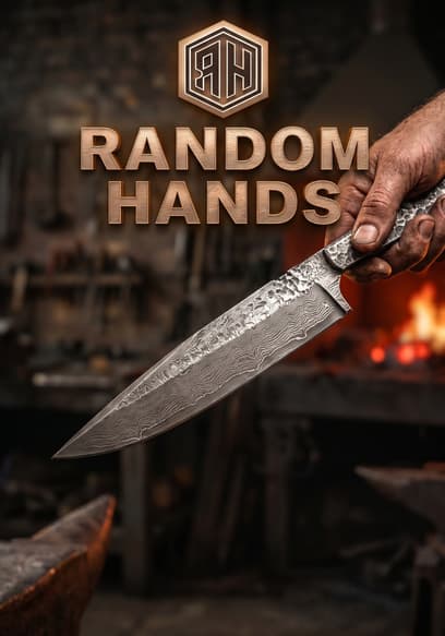 RandomHands poster