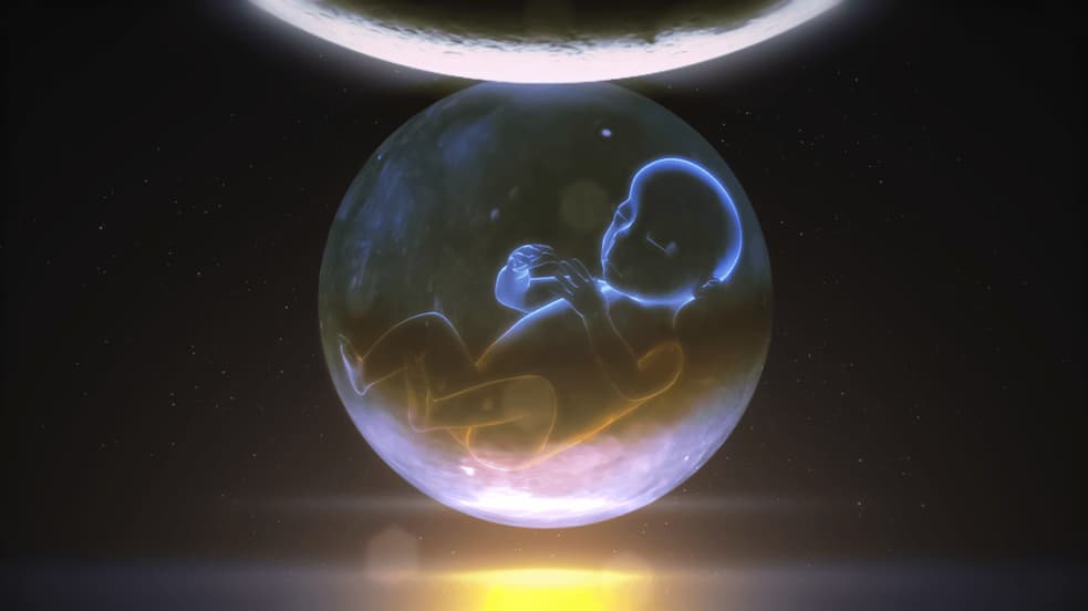 Life, Death and Reincarnation