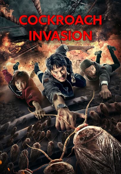 Cockroach Invasion