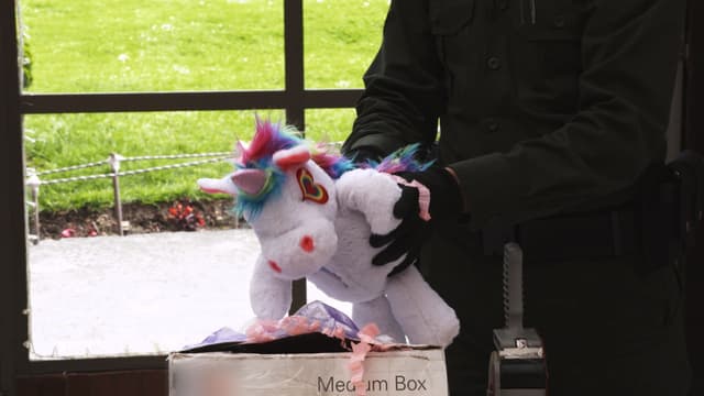 S01:E13 - Mules, Toys & Border Busts