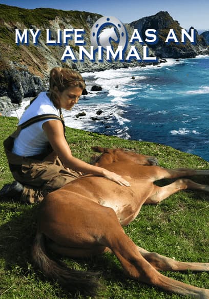 My Life as an Animal poster