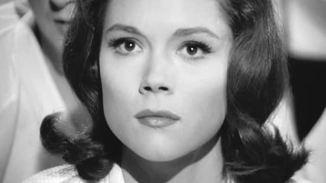 S04:E03 - The Cybernauts