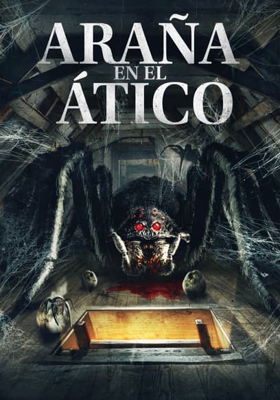 Araña en el ático (Doblado)
