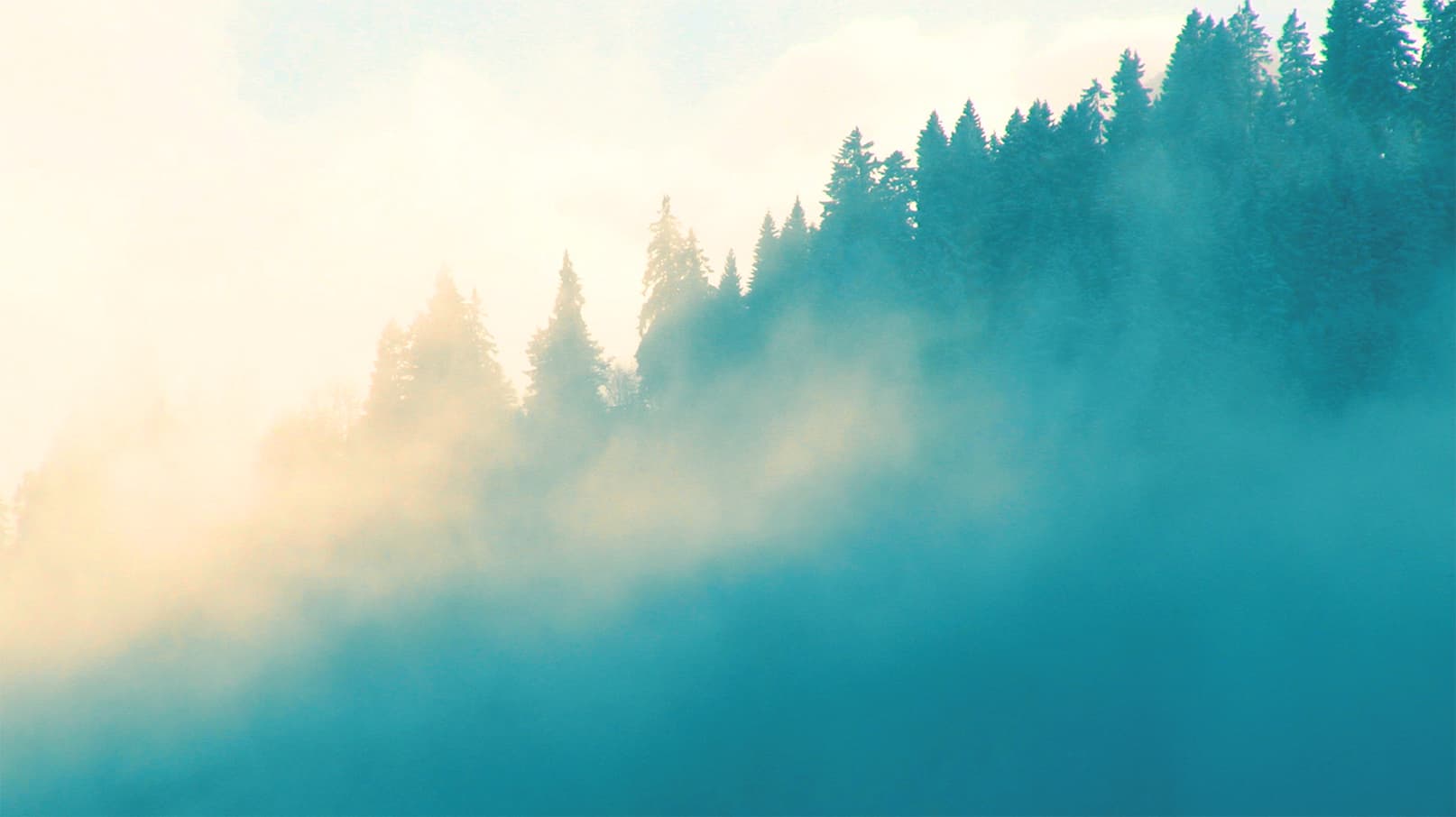 poster background