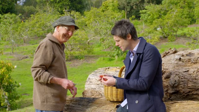 S01:E20 - Episode 20