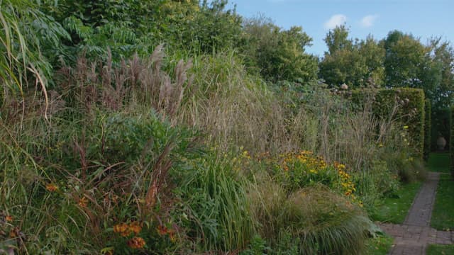 S07:E16 - Episode 16