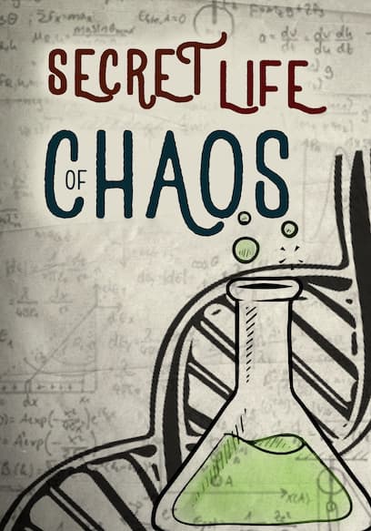 The Secret Life of Chaos