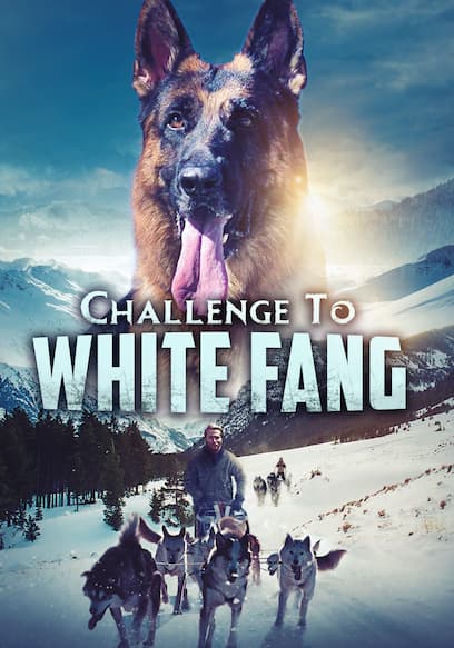 Challenge to White Fang