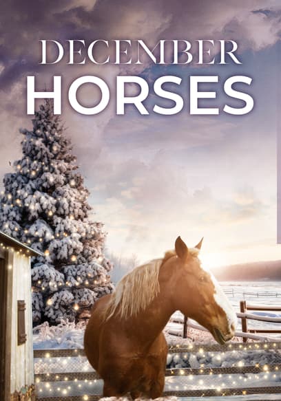 December Horses