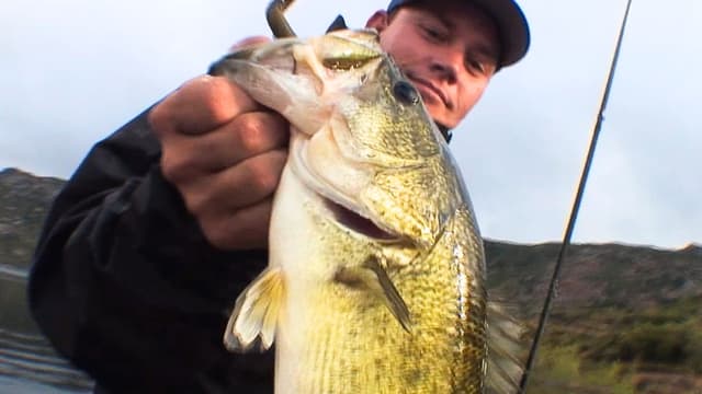 S01:E20 - 500 Bass a Day Keeps the Stress Away: Lake Barrett