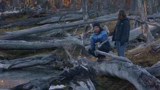 S01:E05 - Bajo amenaza