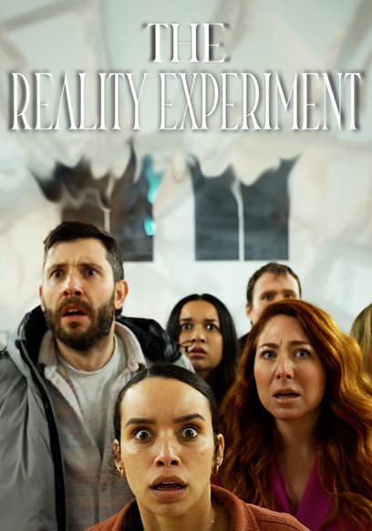 The Reality Experiemnt poster