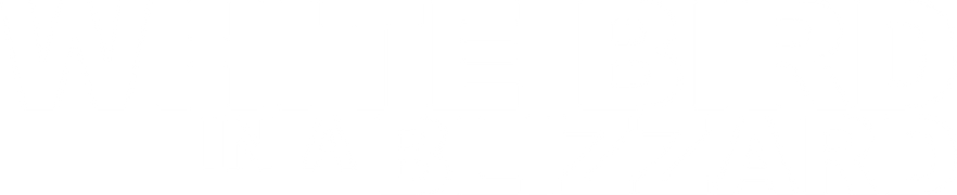 White Bird in a Blizzard