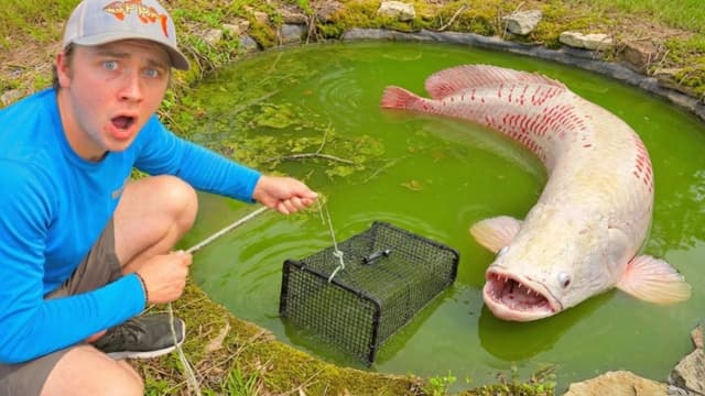 Bass Fishing Productions