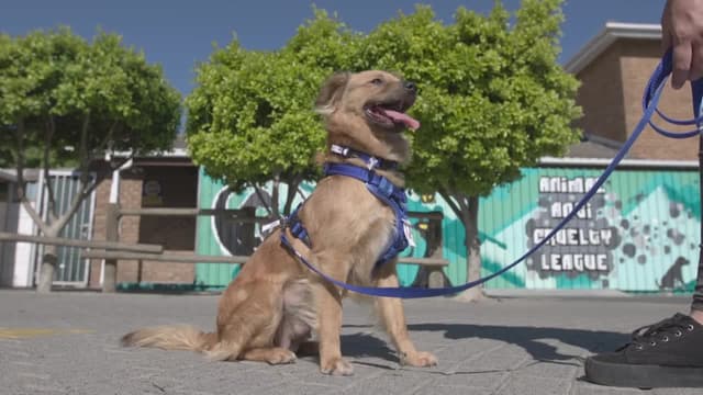 S01:E12 - Lucy and Kat