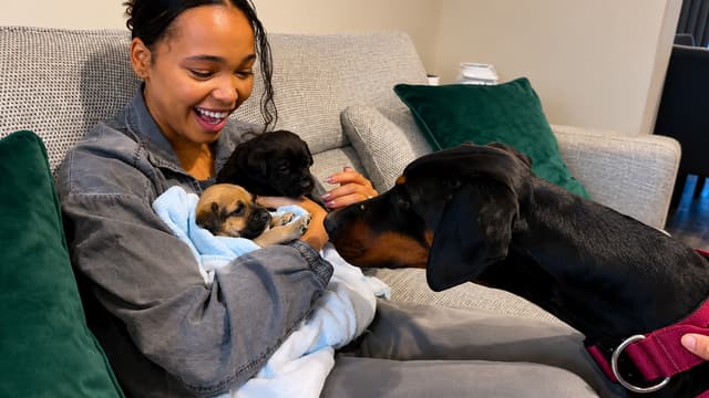 S01:E04 - Rescue Puppies' Mom Passed Away... Our Doberman Stepped Up