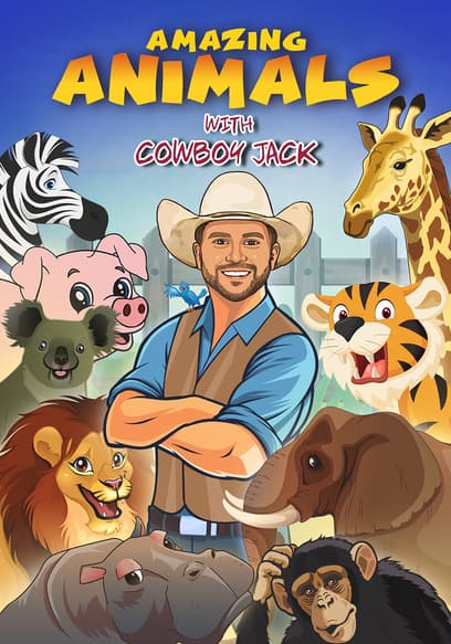 S01:E02 - All Types of Animals for Kids