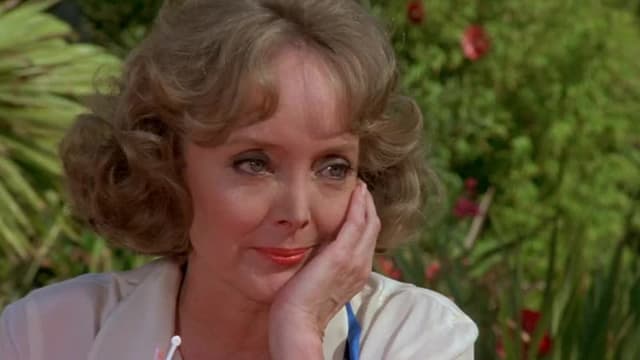 S03:E06 - The Handyman / Tattoo's Romance