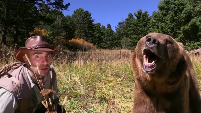 S01:E02 - Coyote vs. Grizzly