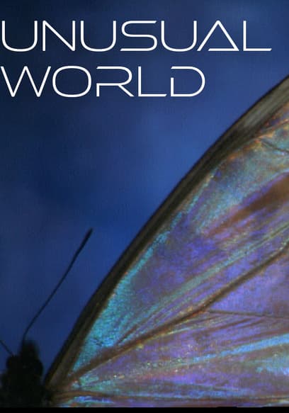 S01:E01 - A Look Stalks You