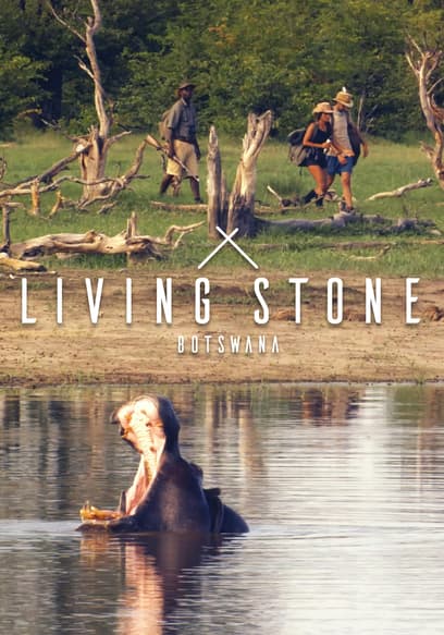 Living Stone: Botswana