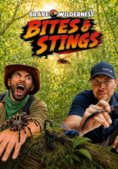 Brave Wilderness: Bites & Stings poster