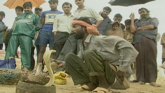 S01:E04 - Really Wild Towns