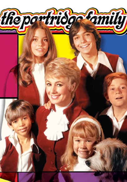 The Partridge Family