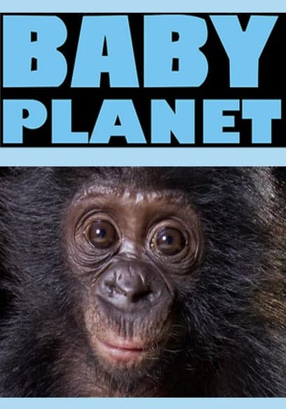 S01:E05 - On Nature's Maternity Ward