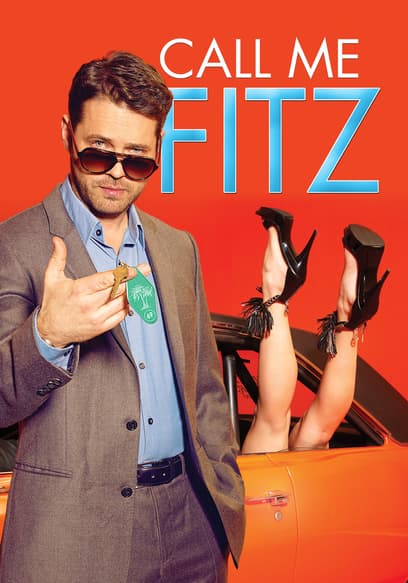 Call Me Fitz poster