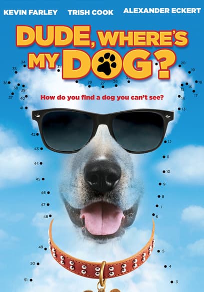 Dude Where's My Dog?