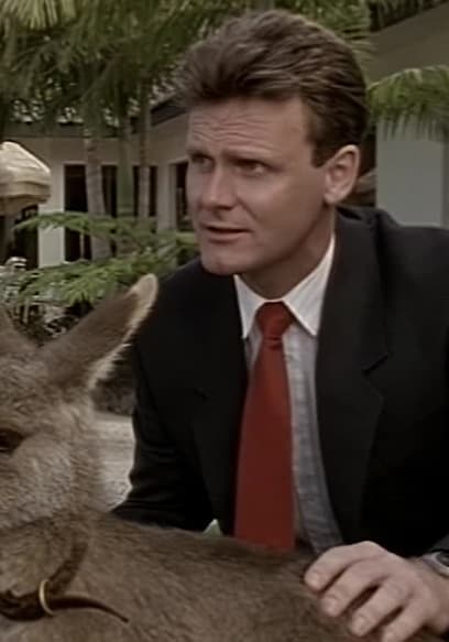 S01:E17 - Skippy and the Millionairess poster