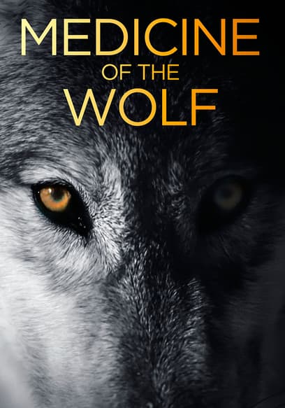 Medicine of the Wolf