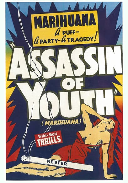 Assassin of Youth