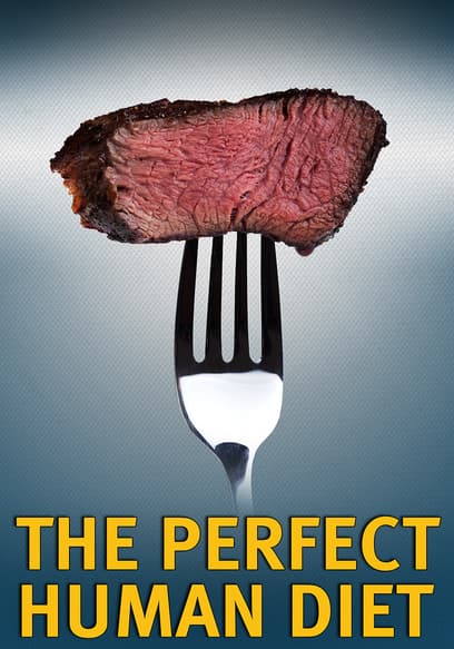 The Perfect Human Diet