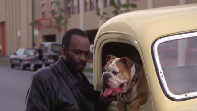 S05:E03 - The Black Corsage