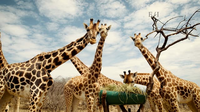 S01:E06 - Episodio 6