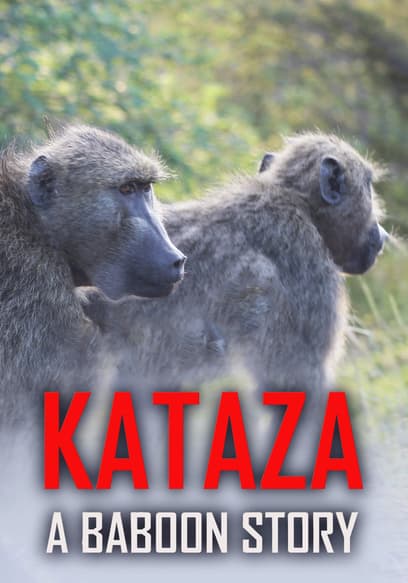 Kataza a Baboon Story