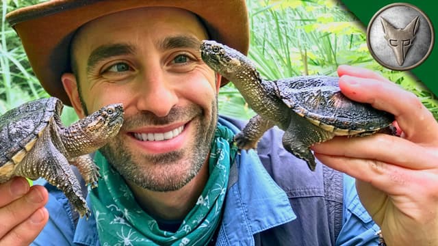 S01:E08 - Rescue Mission: Feeding & Saving Turtles