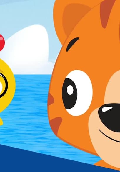 S01:E09 - Let's Explore: Problem Solving With Dolphins! poster