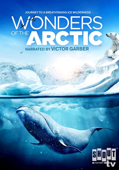 Wonders of the Arctic