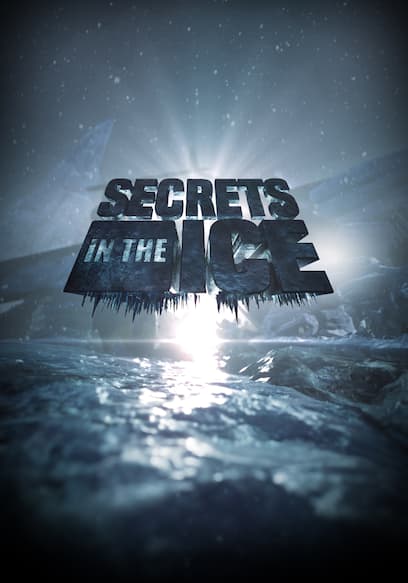 Secrets in the Ice poster