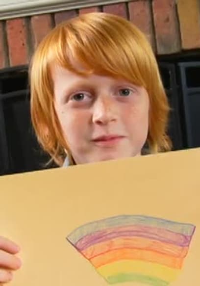 S13:E08 - Un ave de una diferencia plumaje: Hawái poster