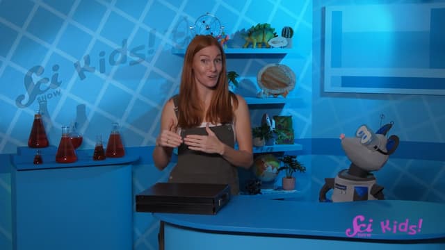 S01:E05 - Animals That Live on Land and Sea