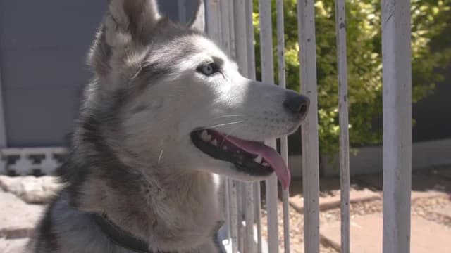 S01:E03 - The Salie’s and the Du Toit’s