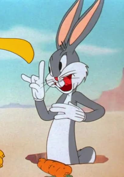 S10:E12 - Bugs Bunny Gets the Boid / The Dover Boys / Hold the Lion, Please! poster