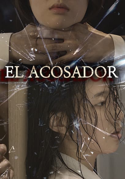 El Acosador (Sub Esp)