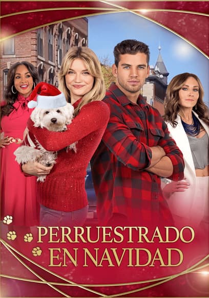 Perruestrado en Navidad (Doblado)