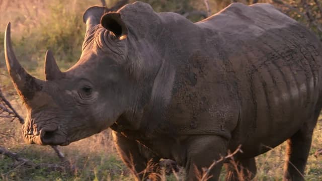 S02:E05 - Pointy Bits